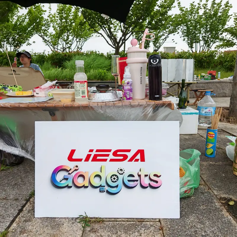 LIESA Gadgets håller utomhuscampingteambuilding för att förena teamet för globala rengöringsföretag